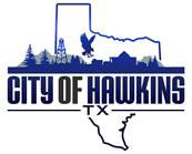 City of Hawkins